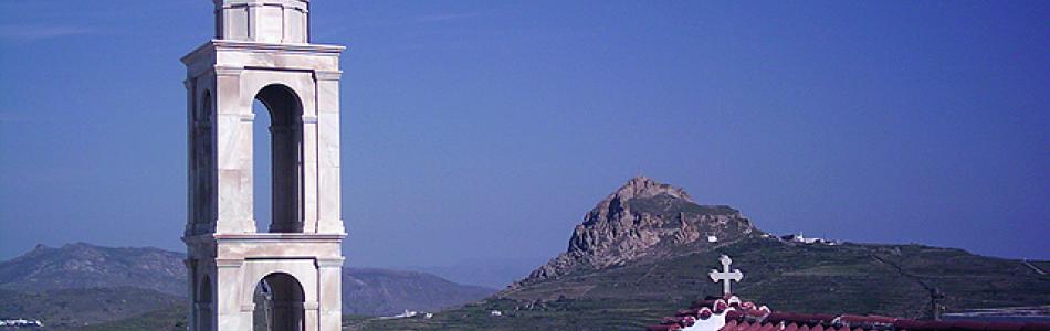 4484-max.jpg